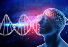 Esquizofrenia: más de 640 genes asociados Esquizofrenia: más de 640 genes asociados