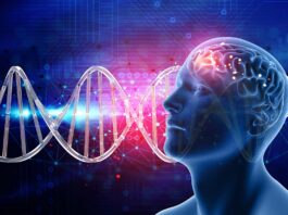 Esquizofrenia: más de 640 genes asociados Esquizofrenia: más de 640 genes asociados