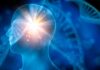 ¿Se puede predecir el riesgo de ictus? ¿Se puede predecir el riesgo de ictus?