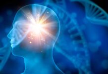 ¿Se puede predecir el riesgo de ictus? ¿Se puede predecir el riesgo de ictus?