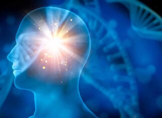 ¿Se puede predecir el riesgo de ictus? ¿Se puede predecir el riesgo de ictus?