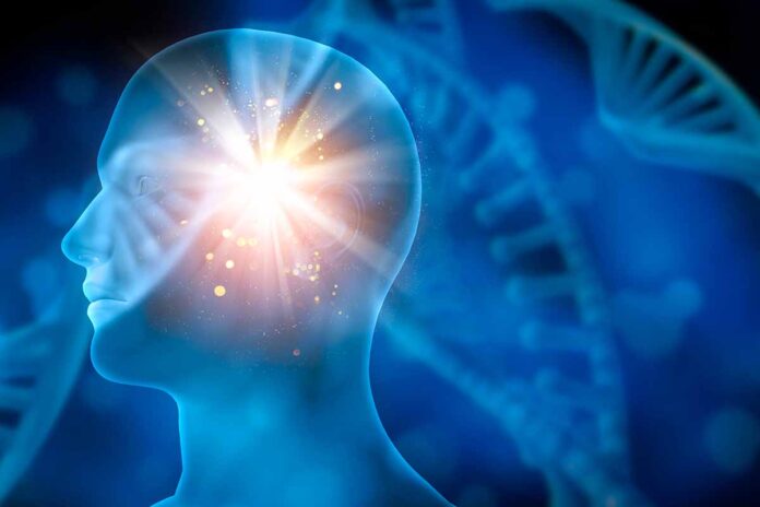 ¿Se puede predecir el riesgo de ictus?