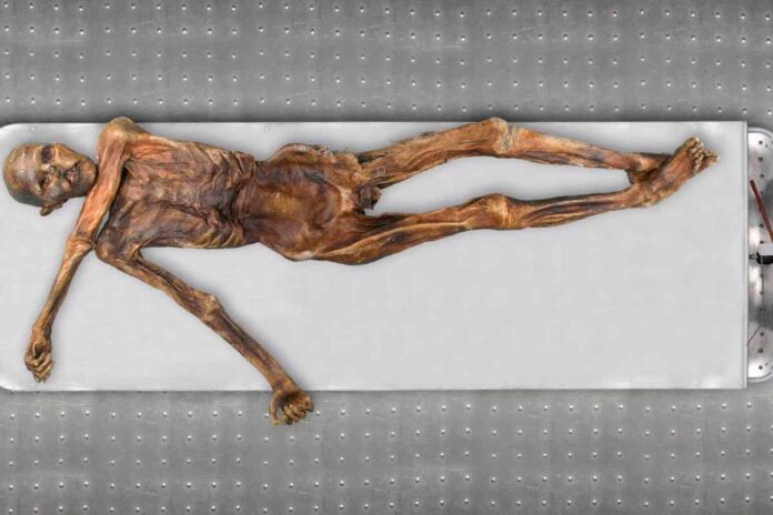 Ötzi, algo más que una reliquia congelada
